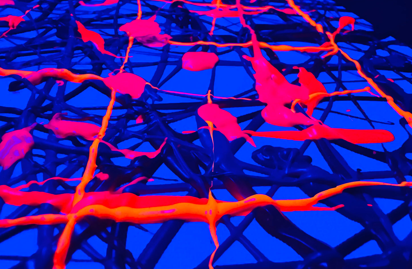 Neon Web -  Original Artwork